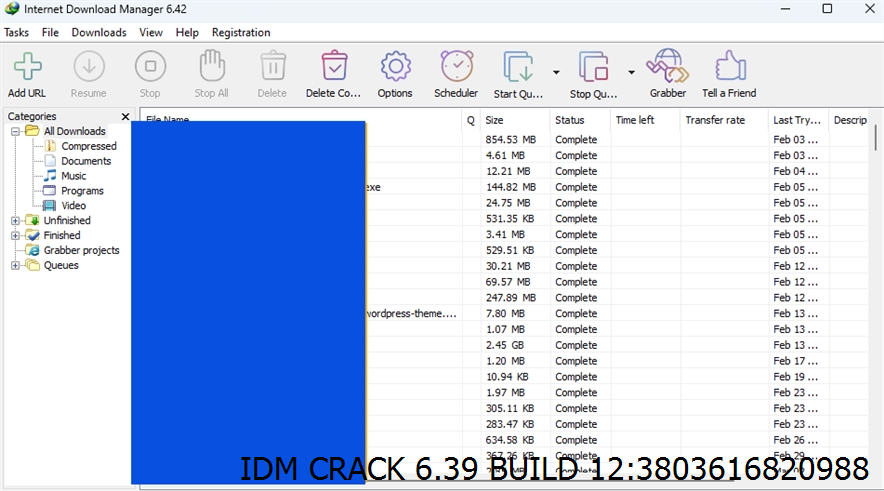 Idm Crack 6.39 Build 12 Screenshot